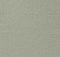 Ковролин Radici Oceania Agdve 2403 фото 1 | FLOORDEALER